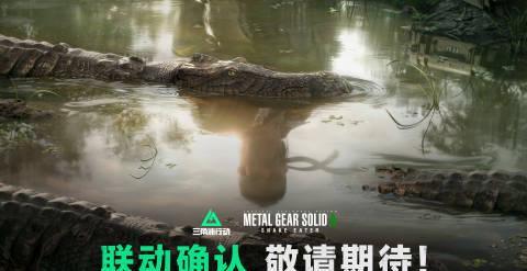 海外追劇卡到崩潰？這招讓我終於能流暢看《三角洲行動》聯動版