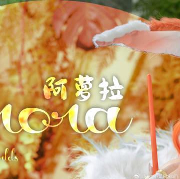 海外华人必看！3招教你解除国内视频音乐地区限制