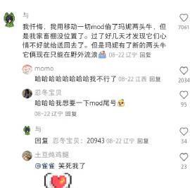 海外华人追剧血泪史：从《星露谷》忏悔区看地区限制的无奈与破解之道