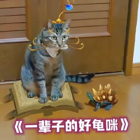 《2025英雄联盟全球赛事火热进行，海外玩国服延迟高怎么办？Sixfast一键加速实测》