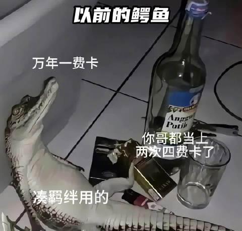 海外华人看不了国内综艺?3招教你解除微博视频地区限制