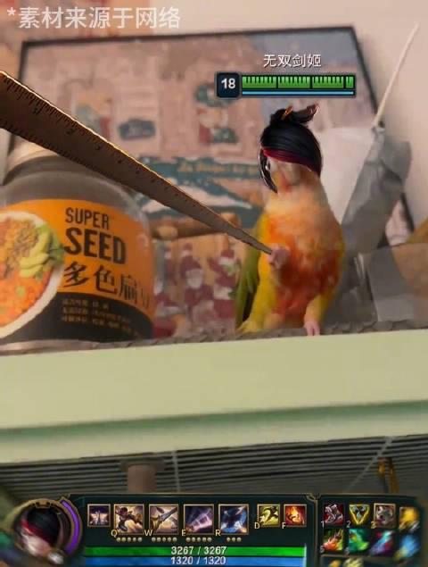 海外华人看国服LOL卡成PPT?3招教你丝滑连招不坑队友