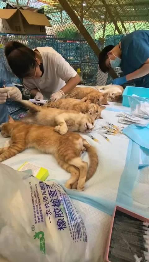 海外华人必看!三步教你解除地区限制,国内影视音乐随心看