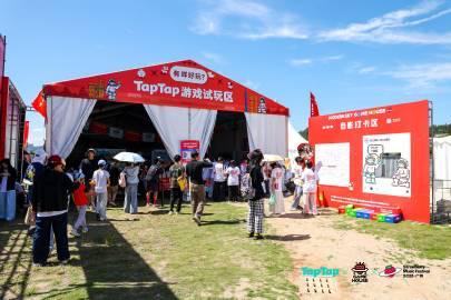 海外华人如何突破限制?3招解锁国内热门游戏与音乐节现场体验