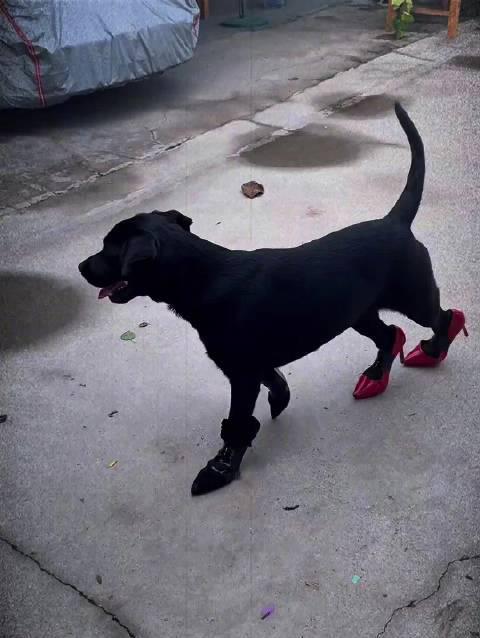 《英雄联盟海克斯大乱斗火爆开启!海外玩家如何用Sixfast解锁国服畅玩?》