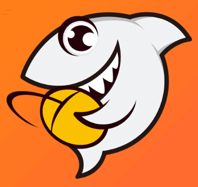 国外看斗鱼直播打不开?终极解决方案速览